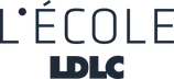optimized/ecole-ldlc